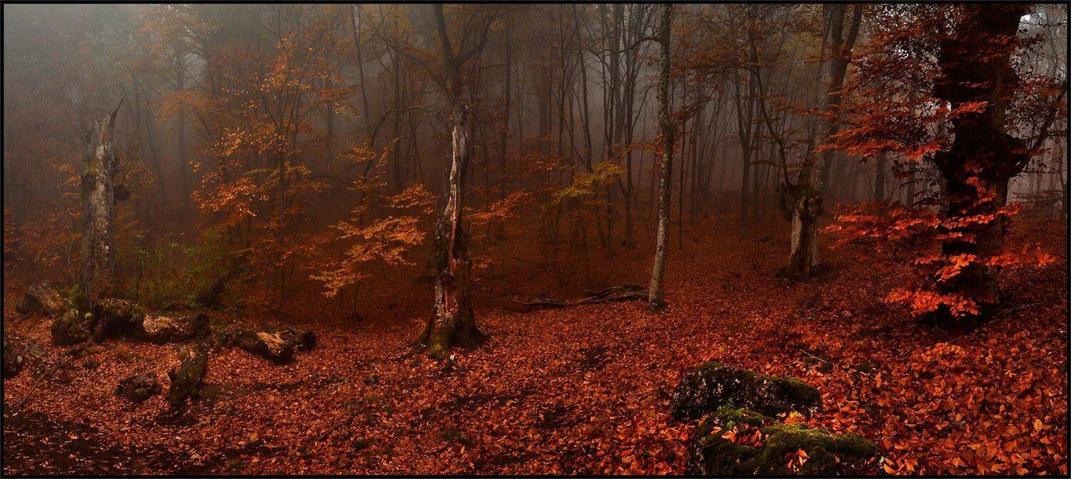 , Владимир Метцгер