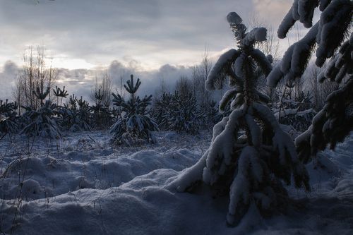 Зимний вечер