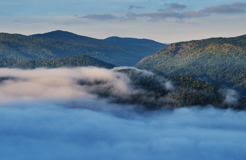 туман, лес, тайга, лето О туманах фото превью