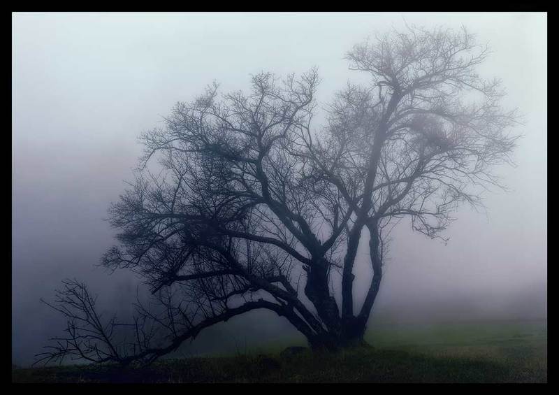 Alone фото превью