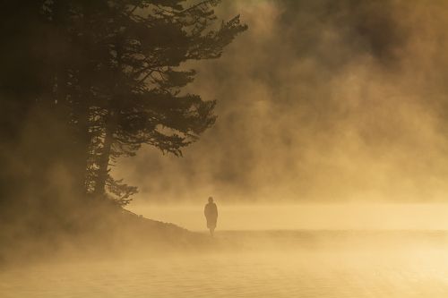 Beglika Fogs