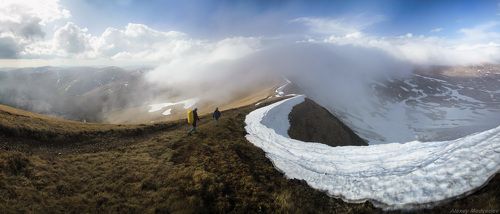 Догяска сверху