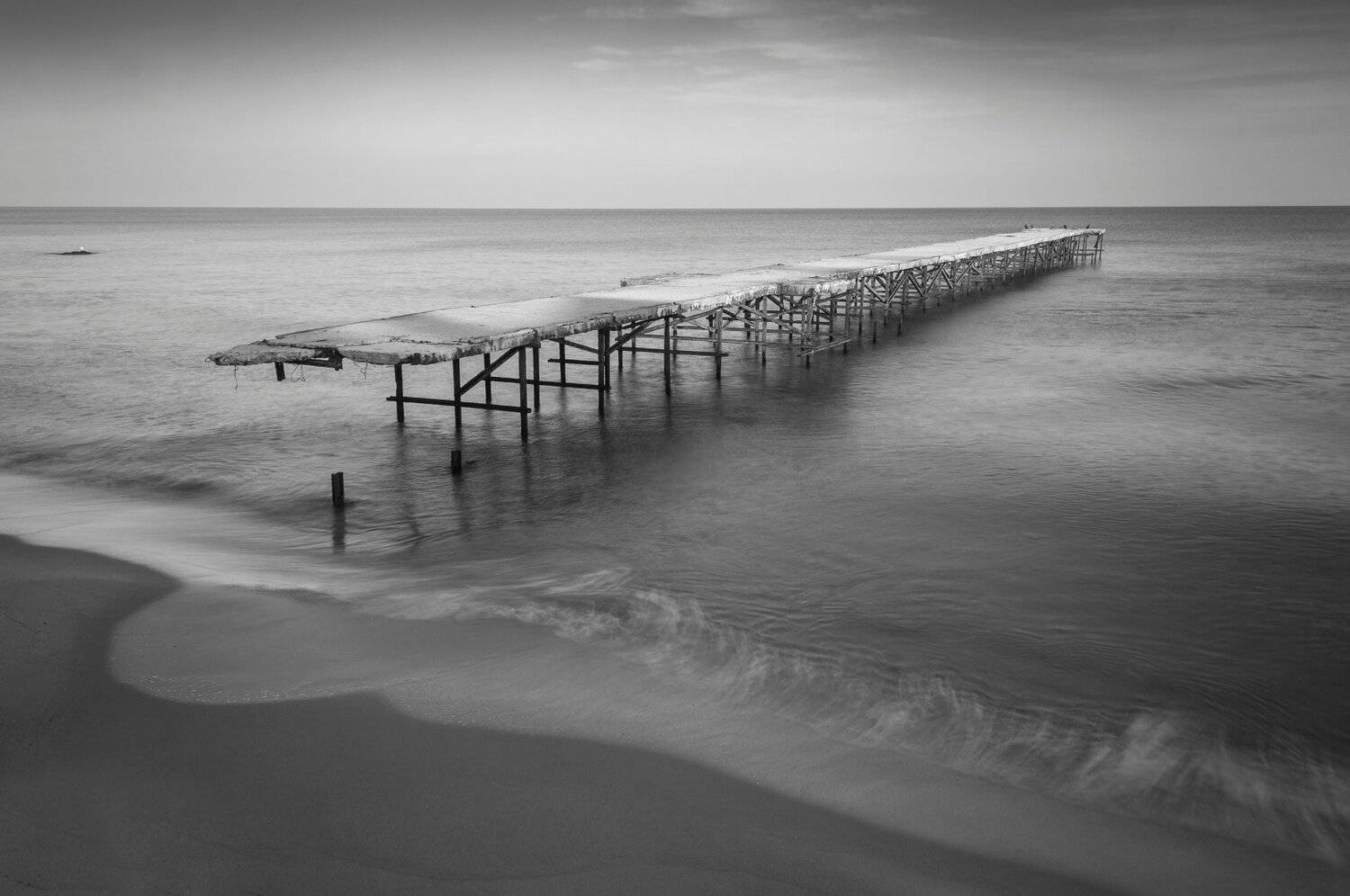 , Мартин Костадинов