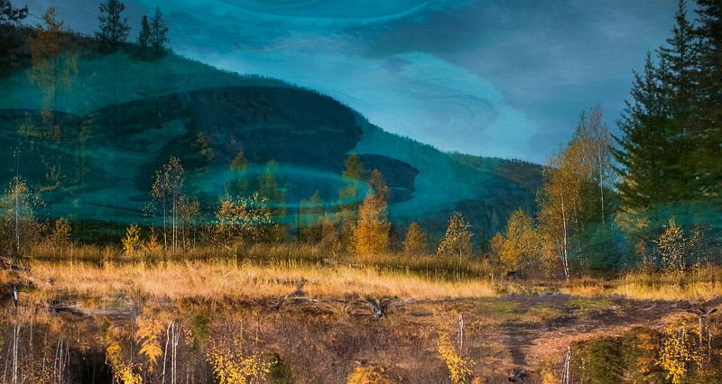 гейзеровое озеро, голубое озеро, лиственницы, берёзы, отражения, горный алтай, республика алтай Pro мистические миры Гейзерового озера фото превью