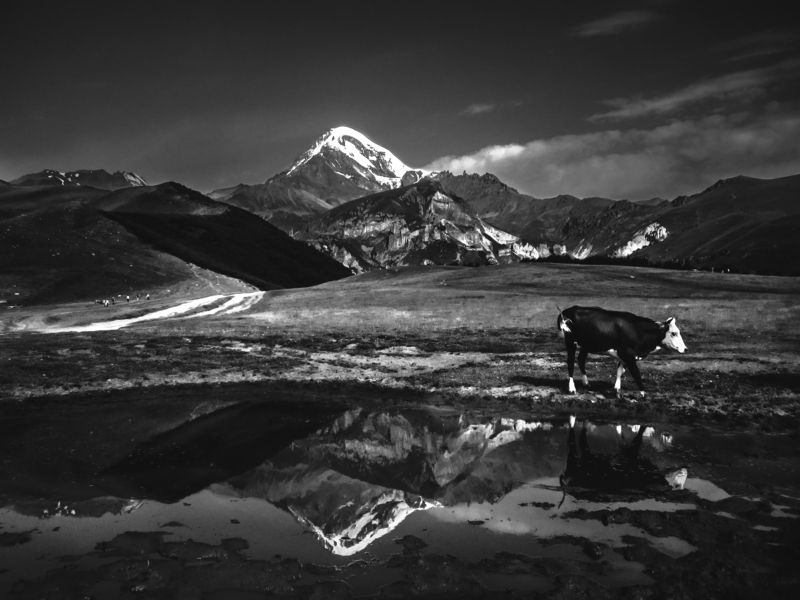 гора казбек фото превью