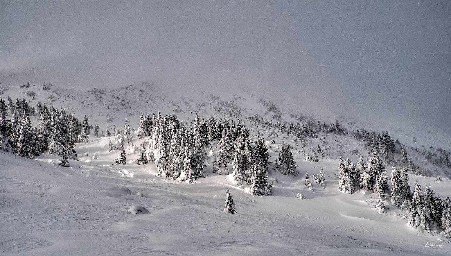 snow., , , mountain, ., , glacier.evergreen, ., , snowfall., , , ridge, ., , snowy., , , slope, ., , mountain., , , peak., , mountain., , , range., , , snowcapped., , mt, foraker., Леонид Морозов