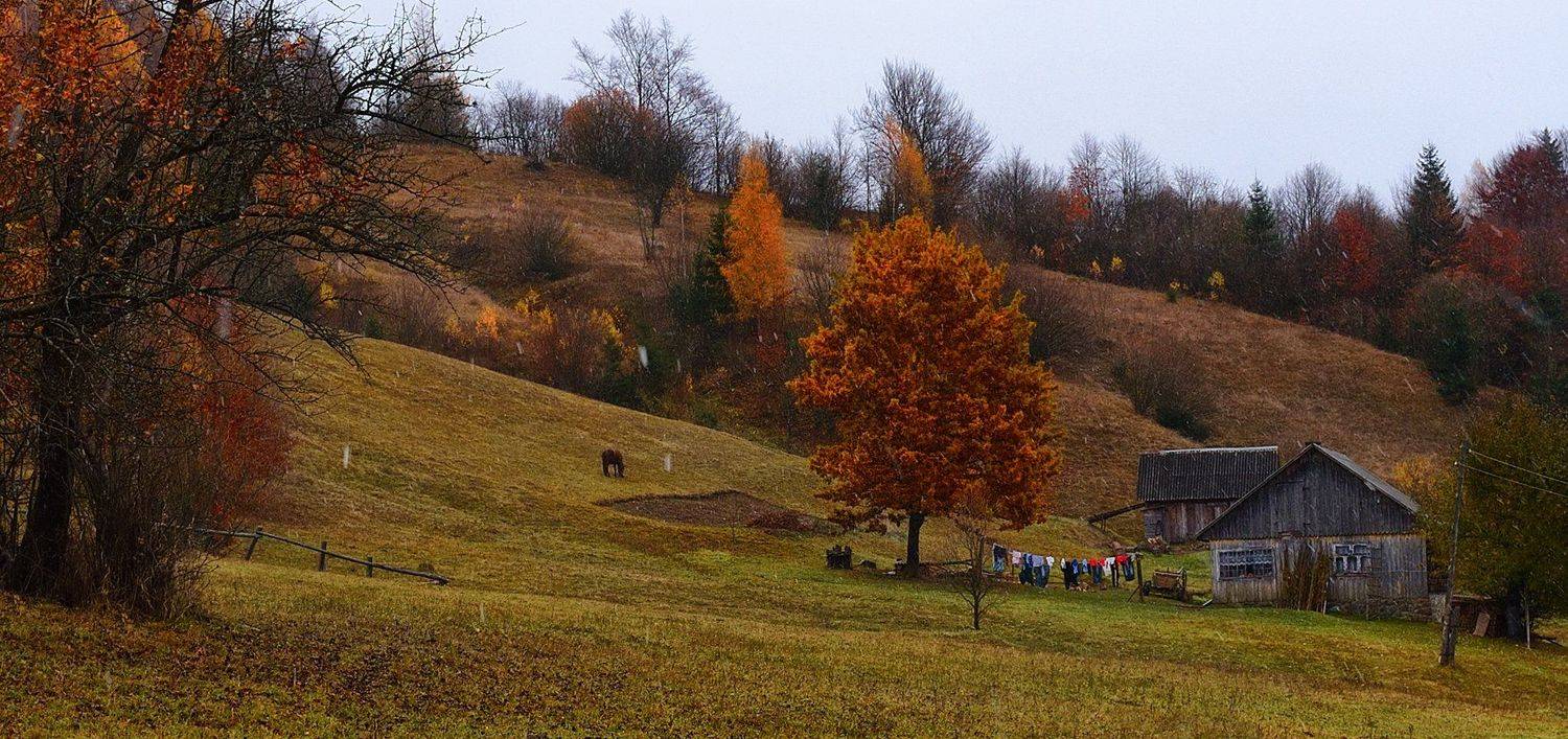 горы, домик, осень, лошадка, Вьюшкин Игорь