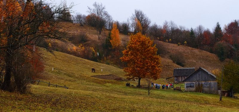 горы, домик, осень, лошадка Где-то в горах. фото превью