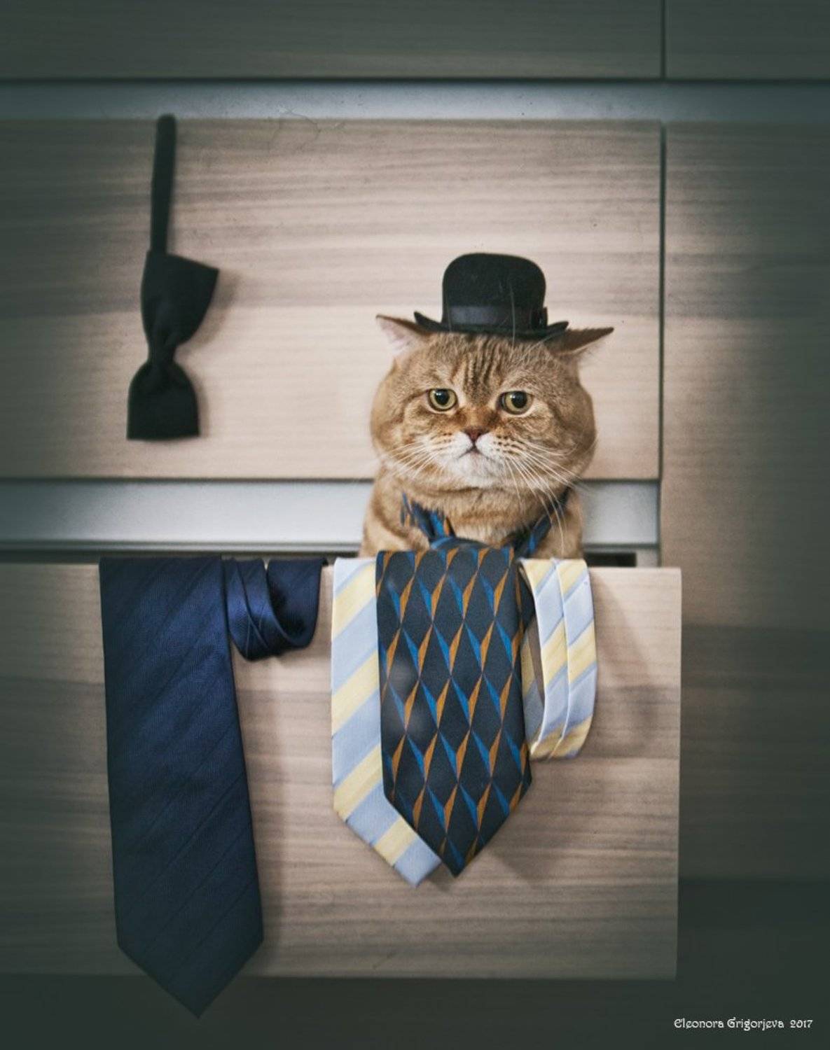 , Eleonora Grigorjeva