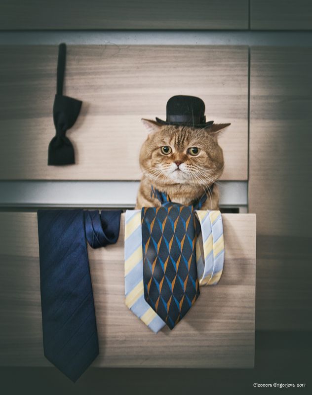 Субботний вечер фото превью