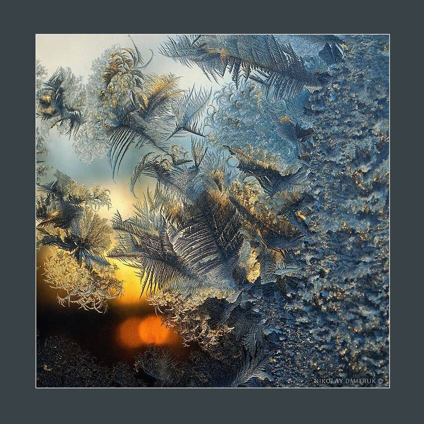 природа, музыка, зима, николай дмитрук