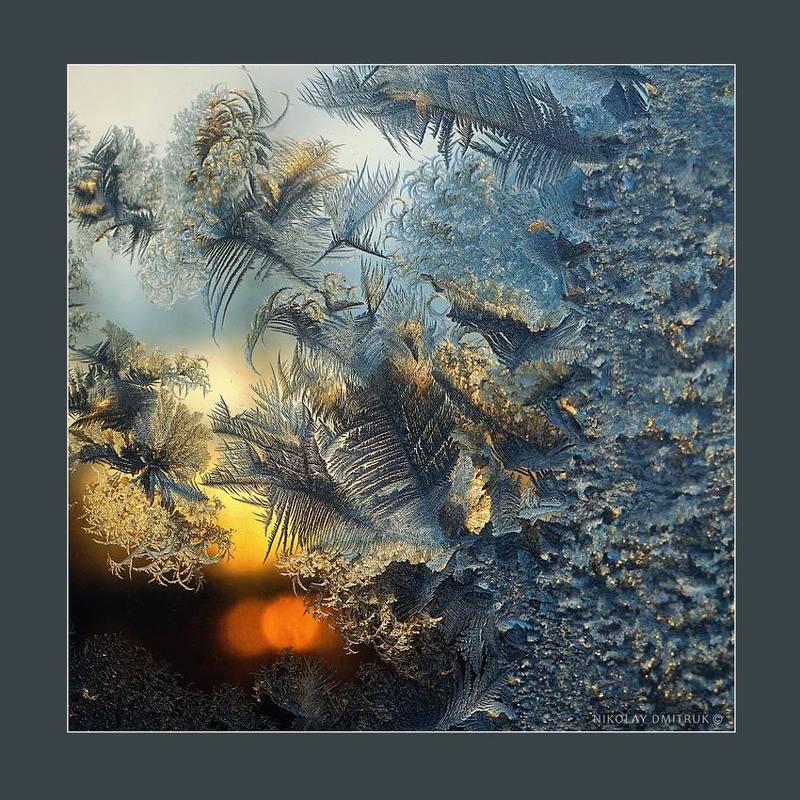 солнце. 2017 фото превью