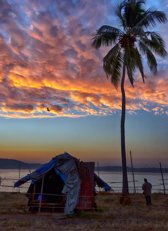 Индийское утро фото превью