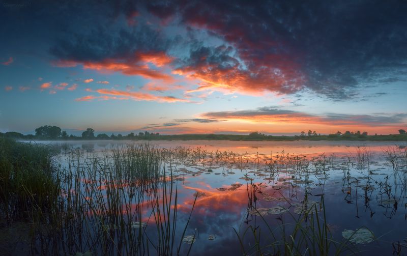 рассвет, небо, лето, река, тырница, рязанская область Летняя акварель фото превью