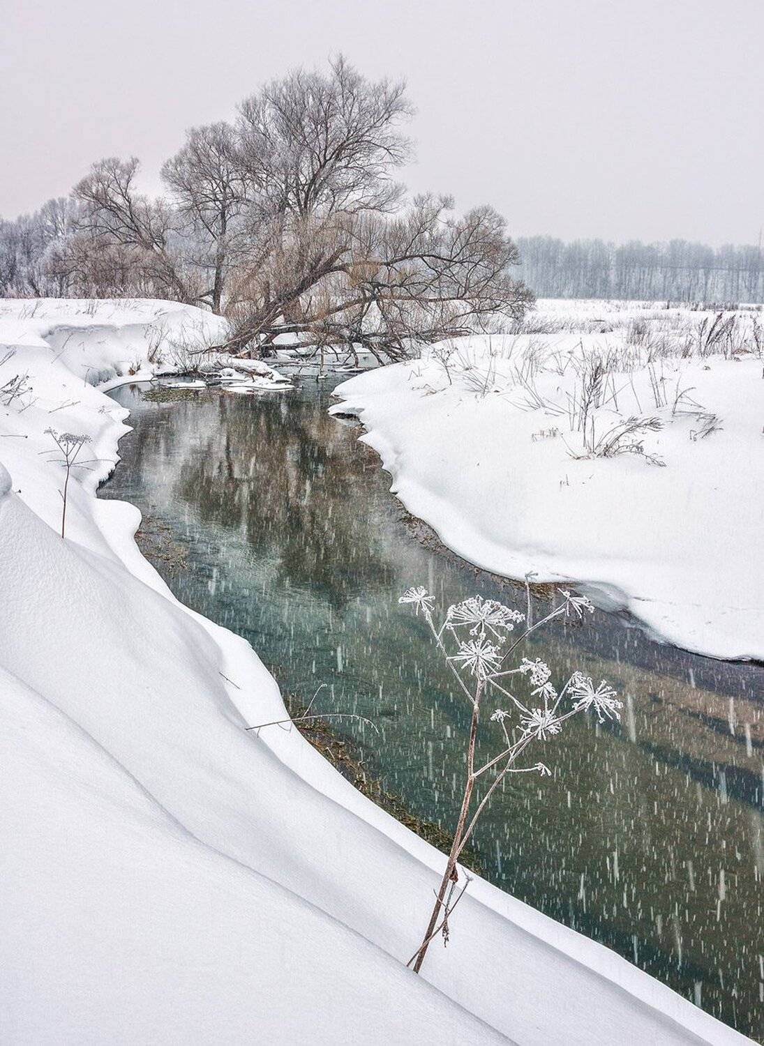 , Николай Андреев