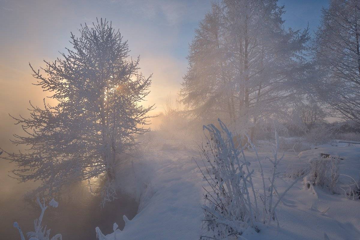 , Романский Владимир (NikonZoom)