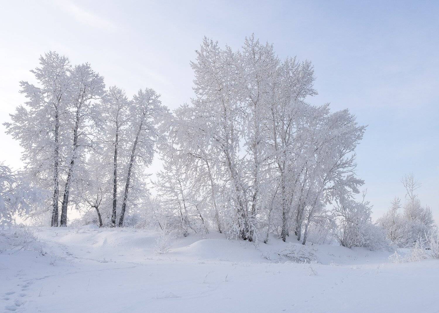 , Лещёнок Александр
