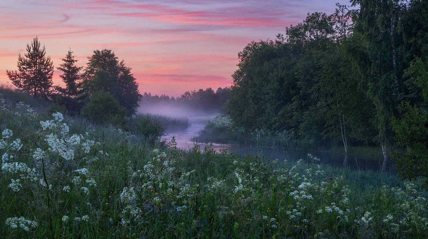 , Сергей Давыдов