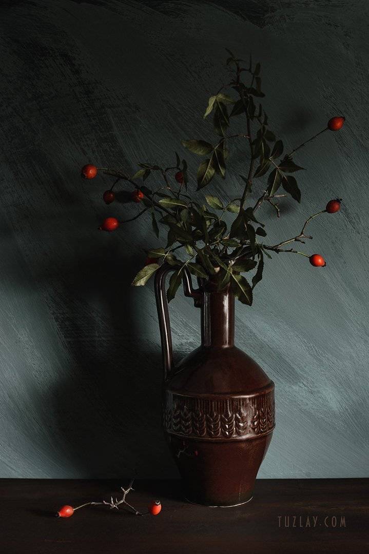 осень в кувшине, шиповник в чайнике, шиповник, Владимир Тузлай