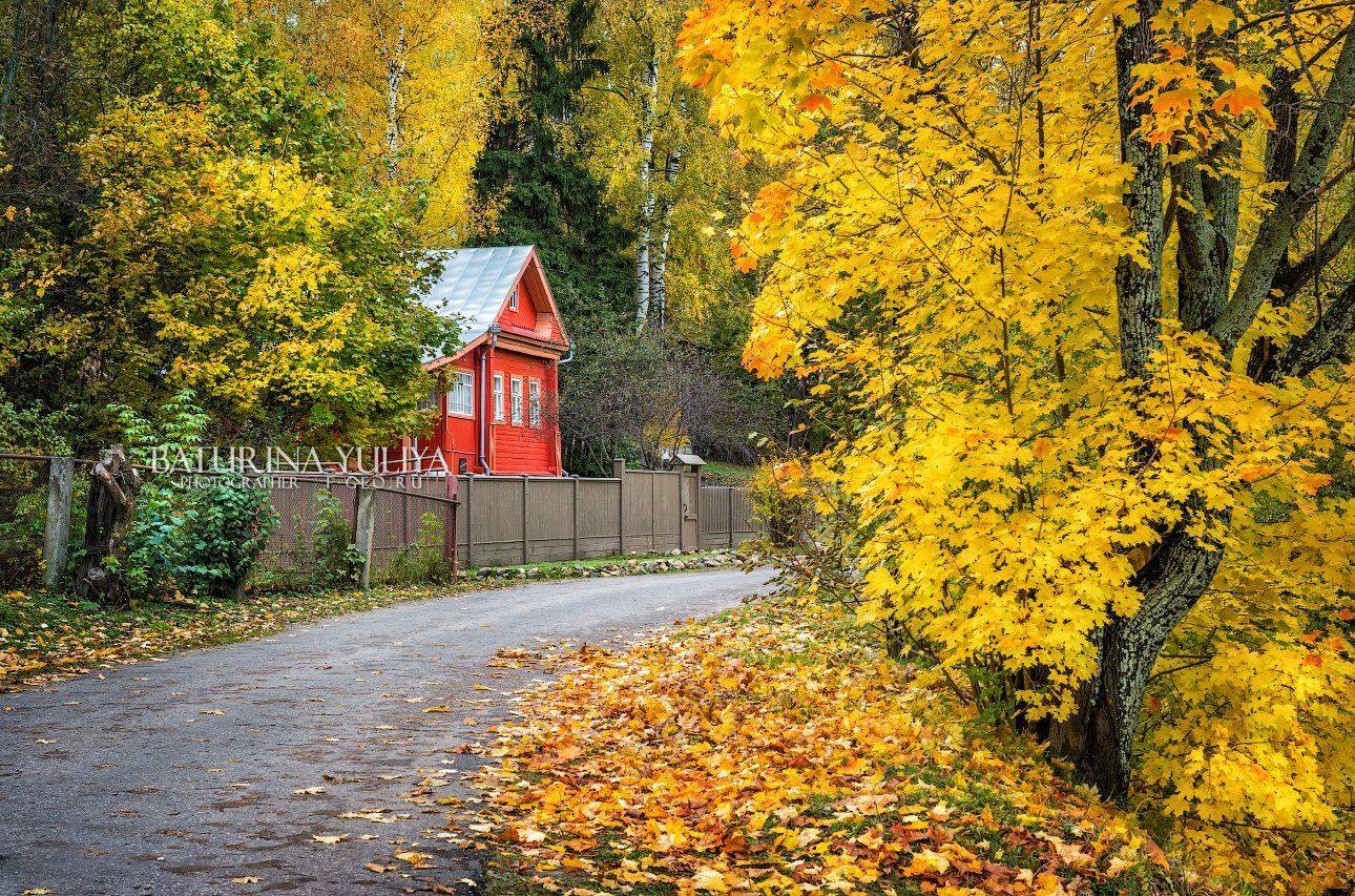 россия, плес, плёс, желтый, дерево, осень, дом, Юлия Батурина