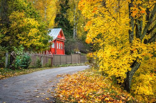 Красное на желтом
