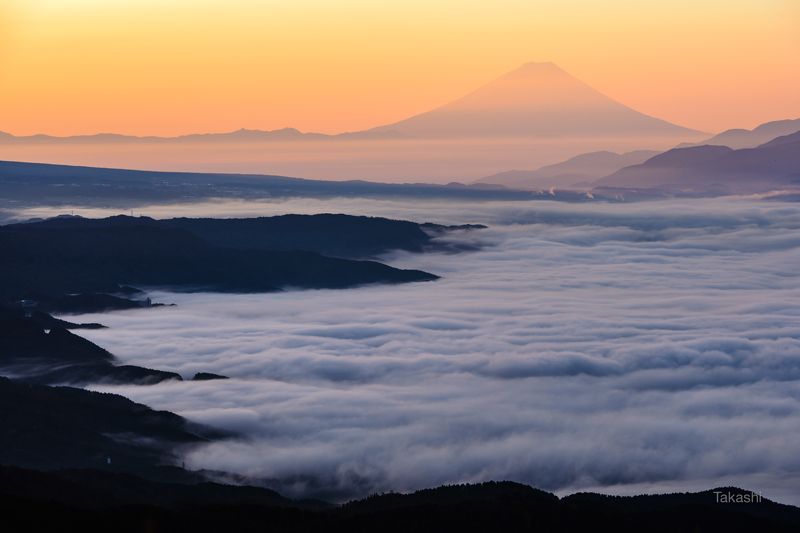Fuji,Japan,mountain,sea of clouds,sea,cloud,sunrise,sunshine,morning, Port of sea of clouds фото превью