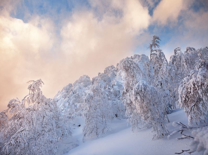 *** фото превью