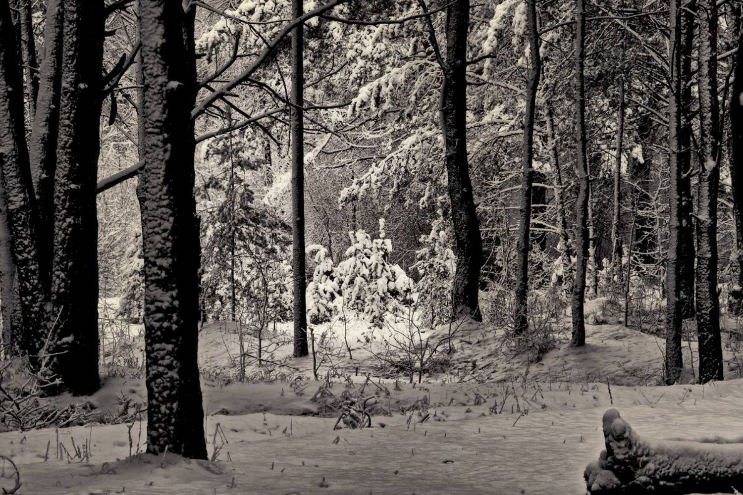 , Валерий Кондратов