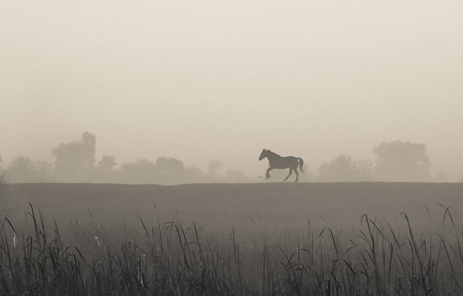 , Вячеслав Мищенко