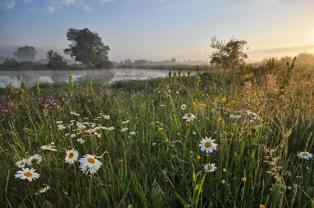 , Володимир Карчевський