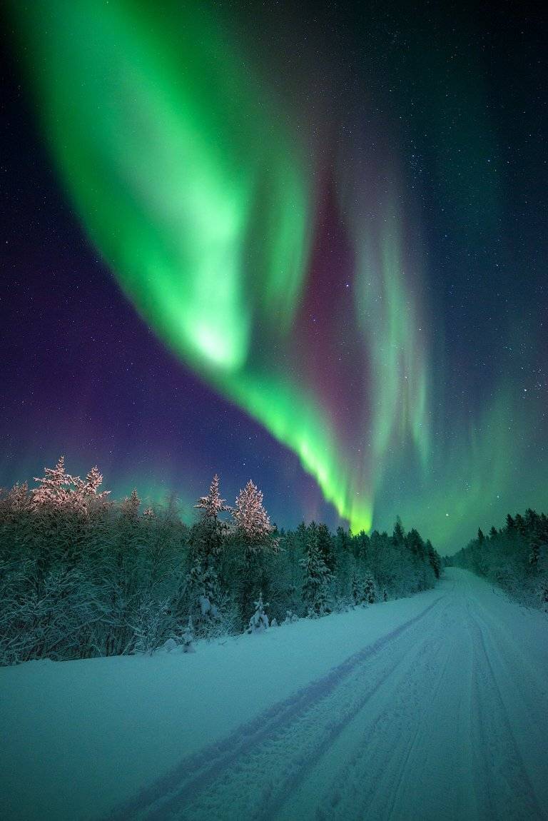 aurora borealis, северное сияние,хибины,север,кольский,заполярье,, Роман Горячий