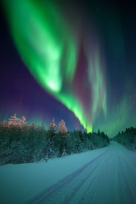 aurora borealis, северное сияние,хибины,север,кольский,заполярье, * фото превью