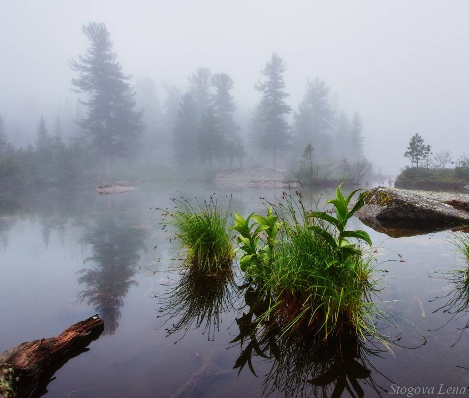 ергаки,озеро художников, Лена Стогова