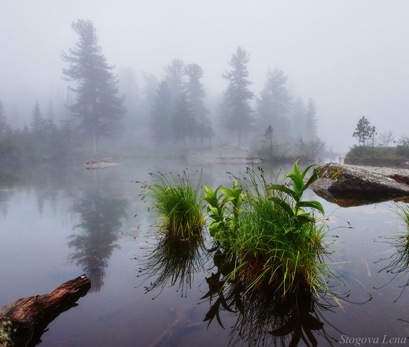 ергаки,озеро художников В тумане фото превью