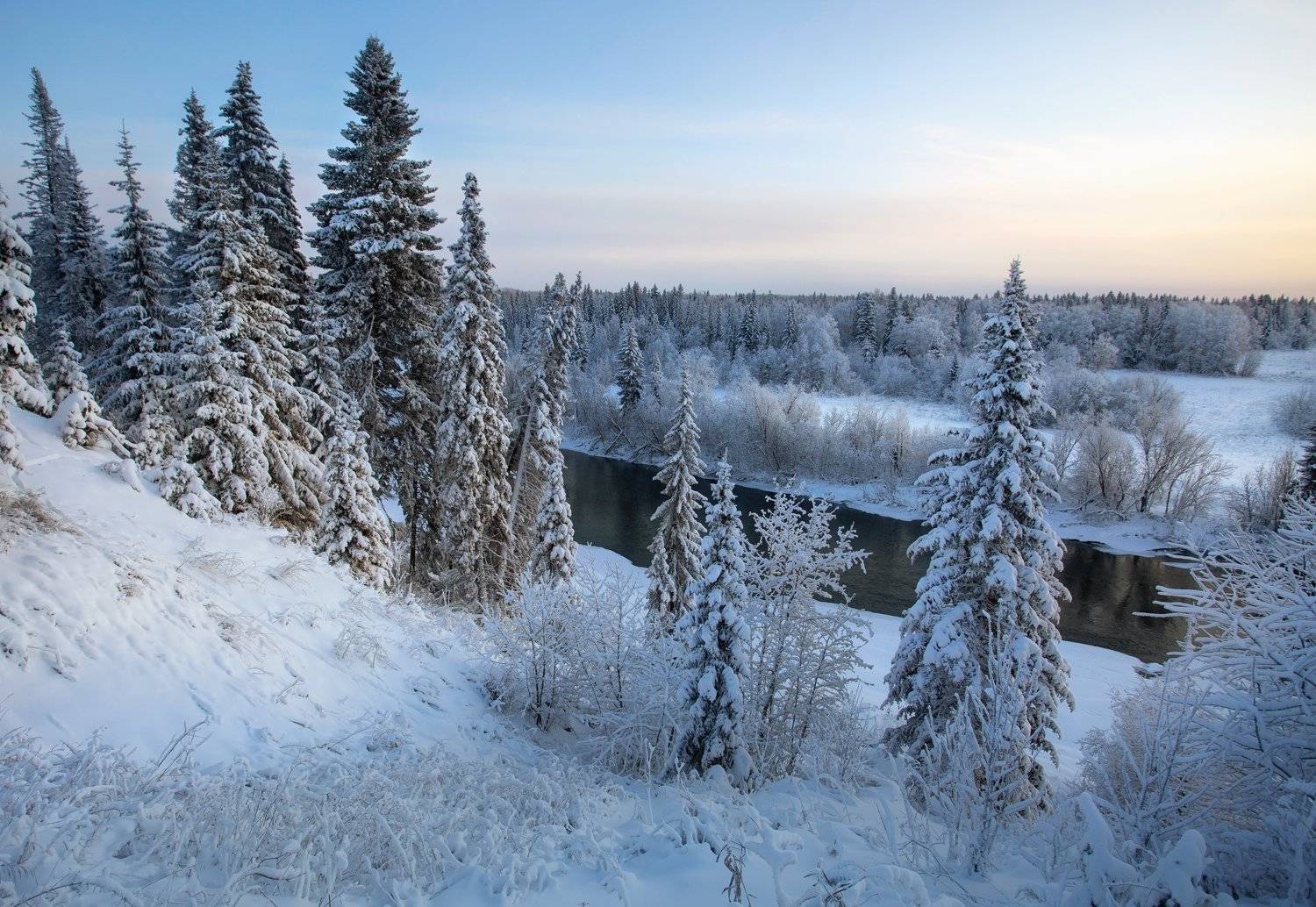 , Федотов Сергей