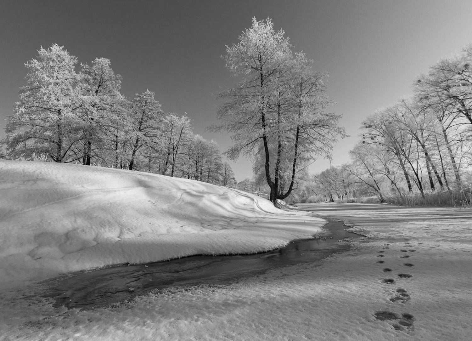 , Александр Подрез