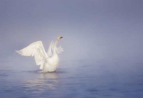 На встречу новому дню!