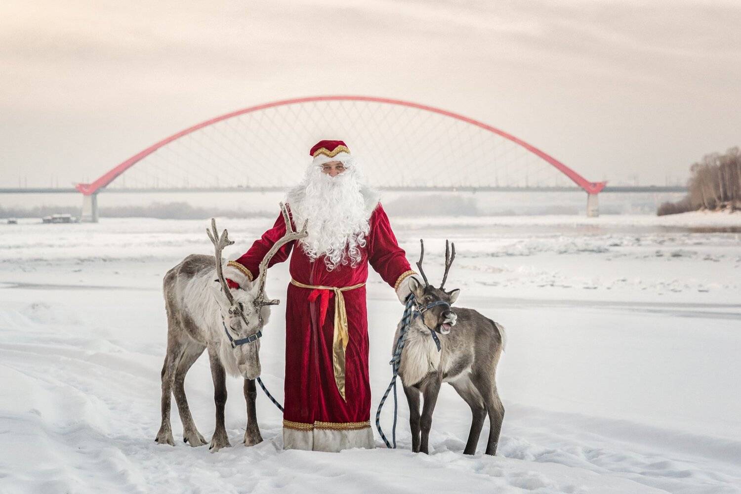 , Андрей Поляков