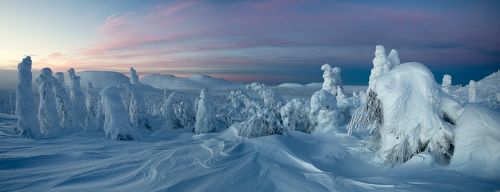 Солнцепоклонники, ожидание рассвета