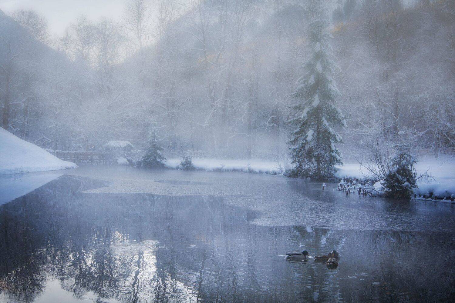 , Юрий Пужалин