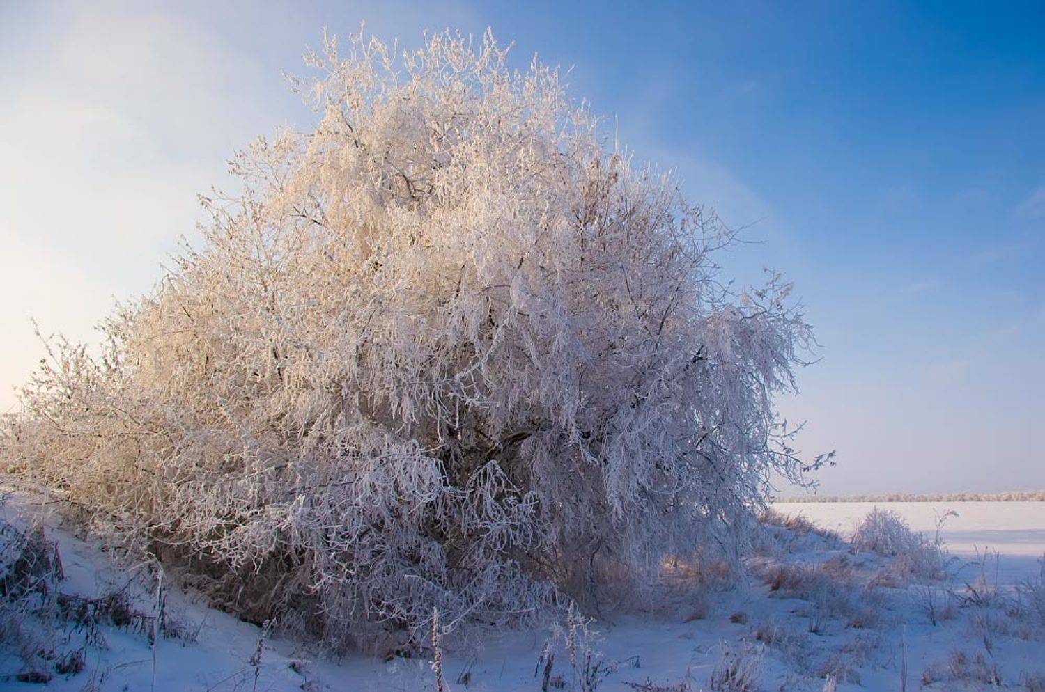 иней, Александр Войтенко