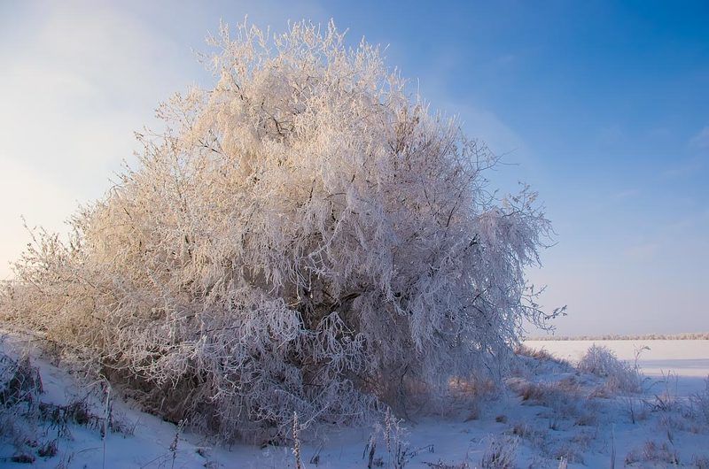 иней  фото превью