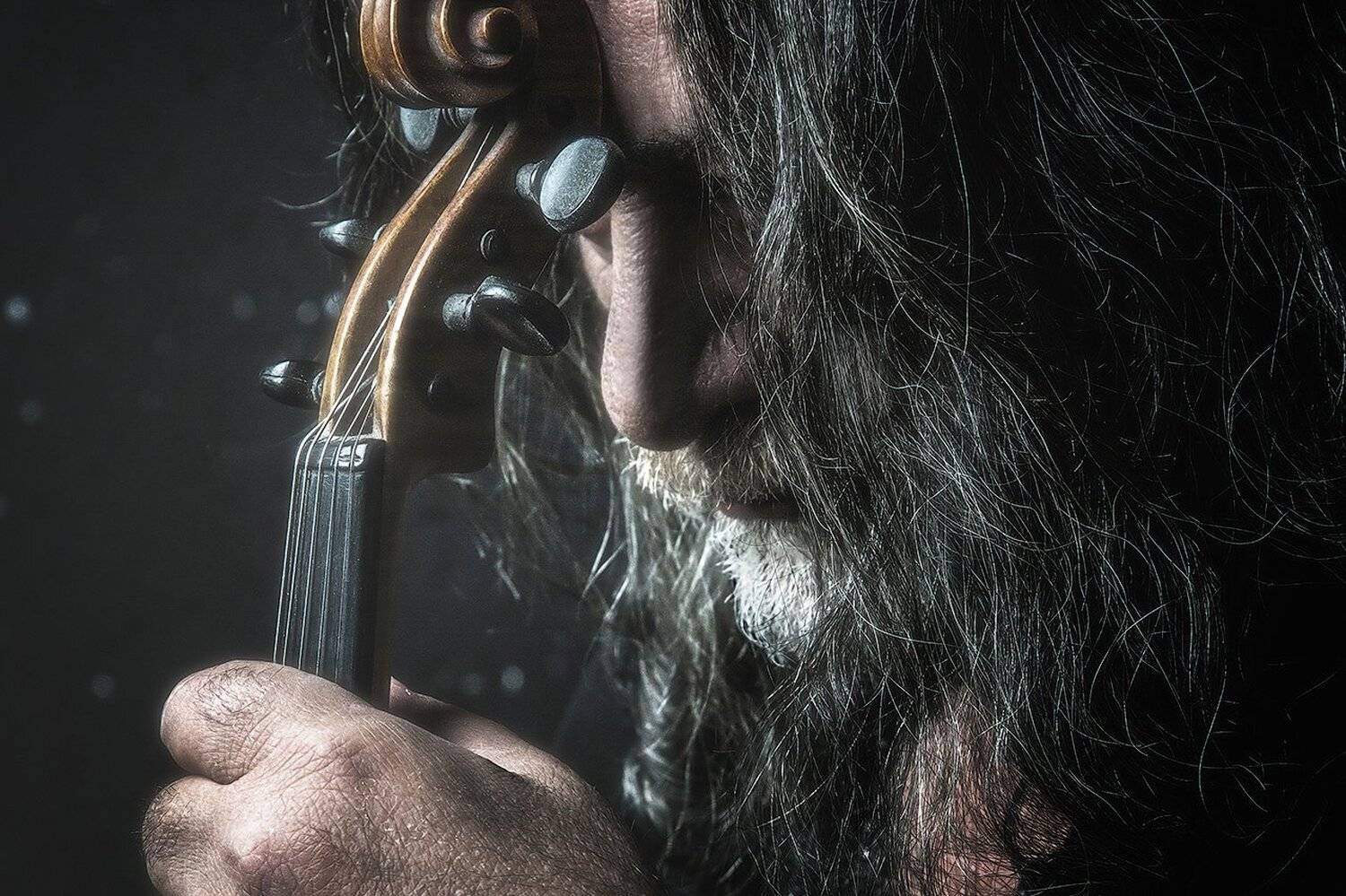 Музыкант, артист, преподаватель, скрипка, мужчина, мужской, портрет , Дарья Комарова