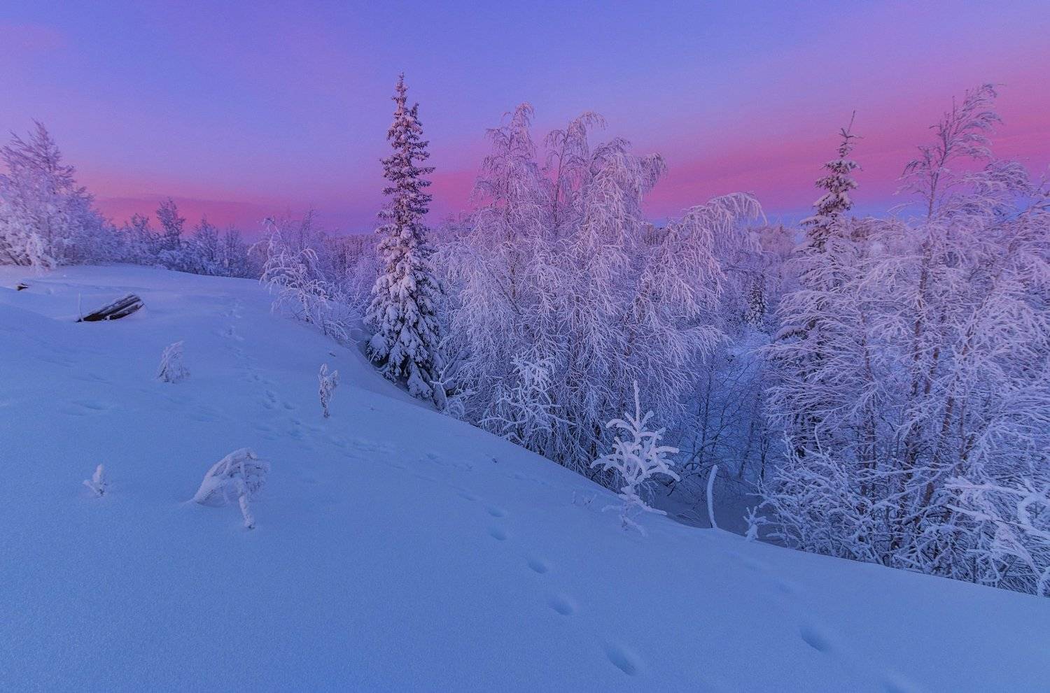 ямал , зима , природа, салехард , декабрь,  ямал ,север, Настя Братка