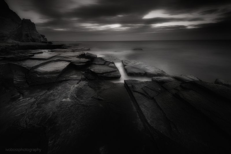 Sea forms фото превью