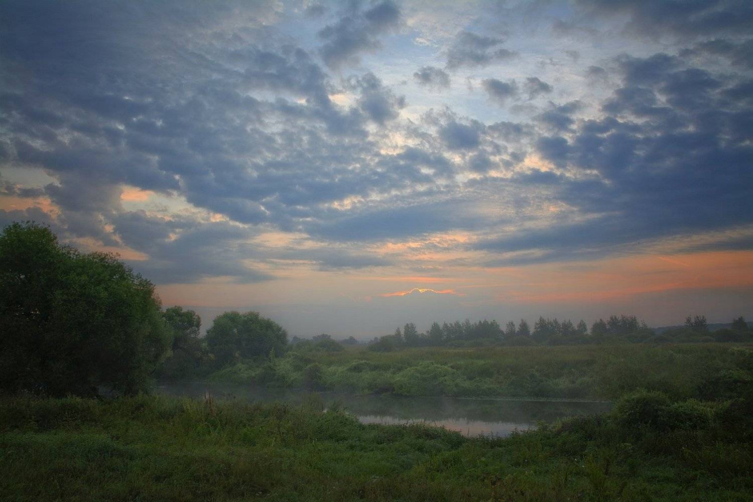 , Анатолий Зверев