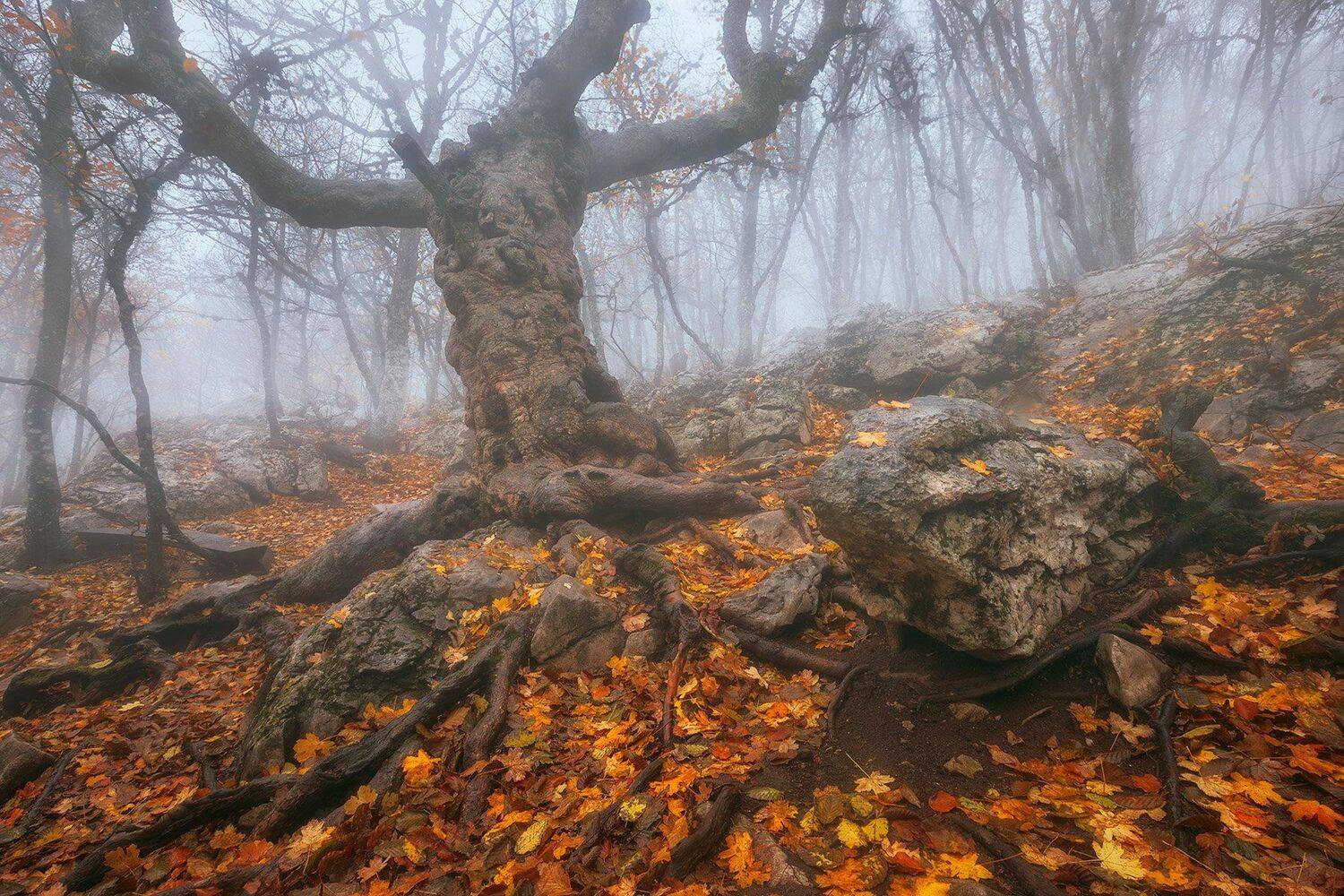 , Александр Костенко