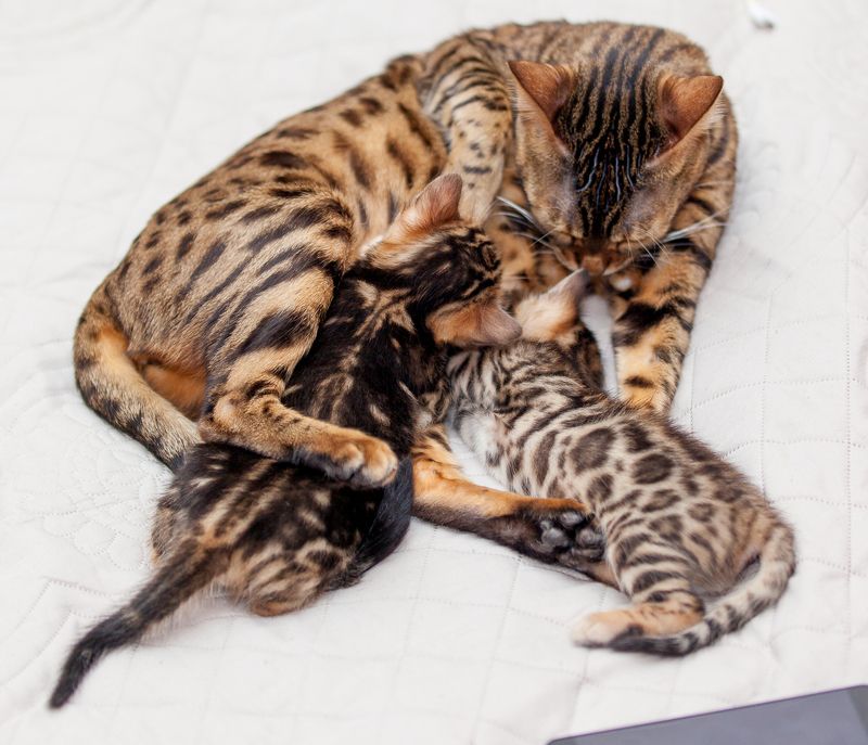 Птица? фото превью