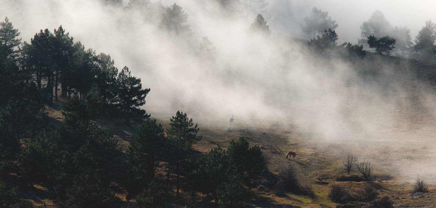 крым, рассвет, туман, облака, лес, sunrise, fog, clouds, forest, trees, Дмитрий