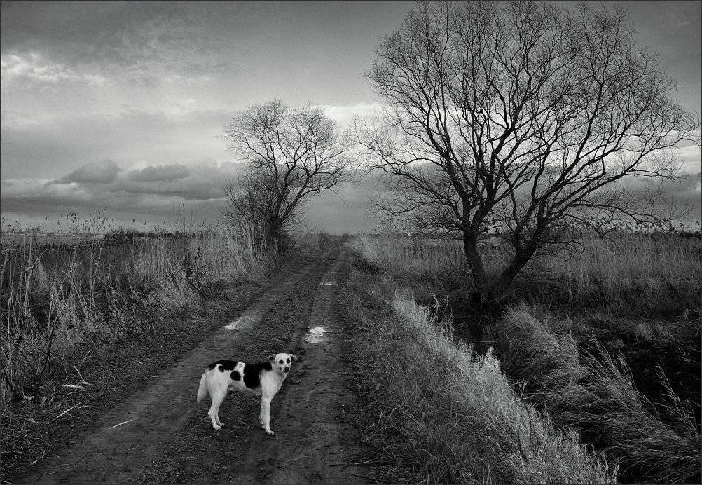 , Сергей Фудиненко